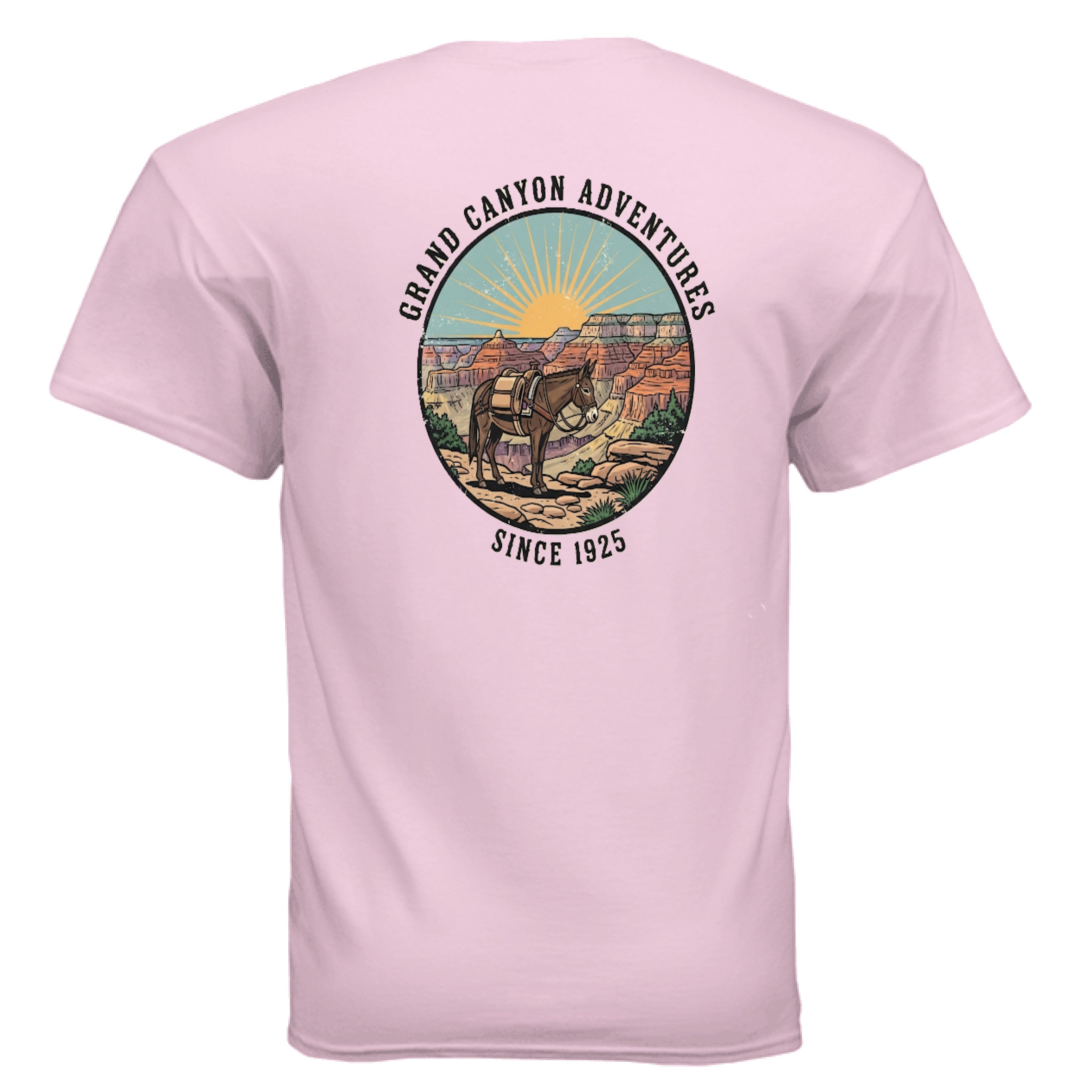 LIGHT PINK - BACK