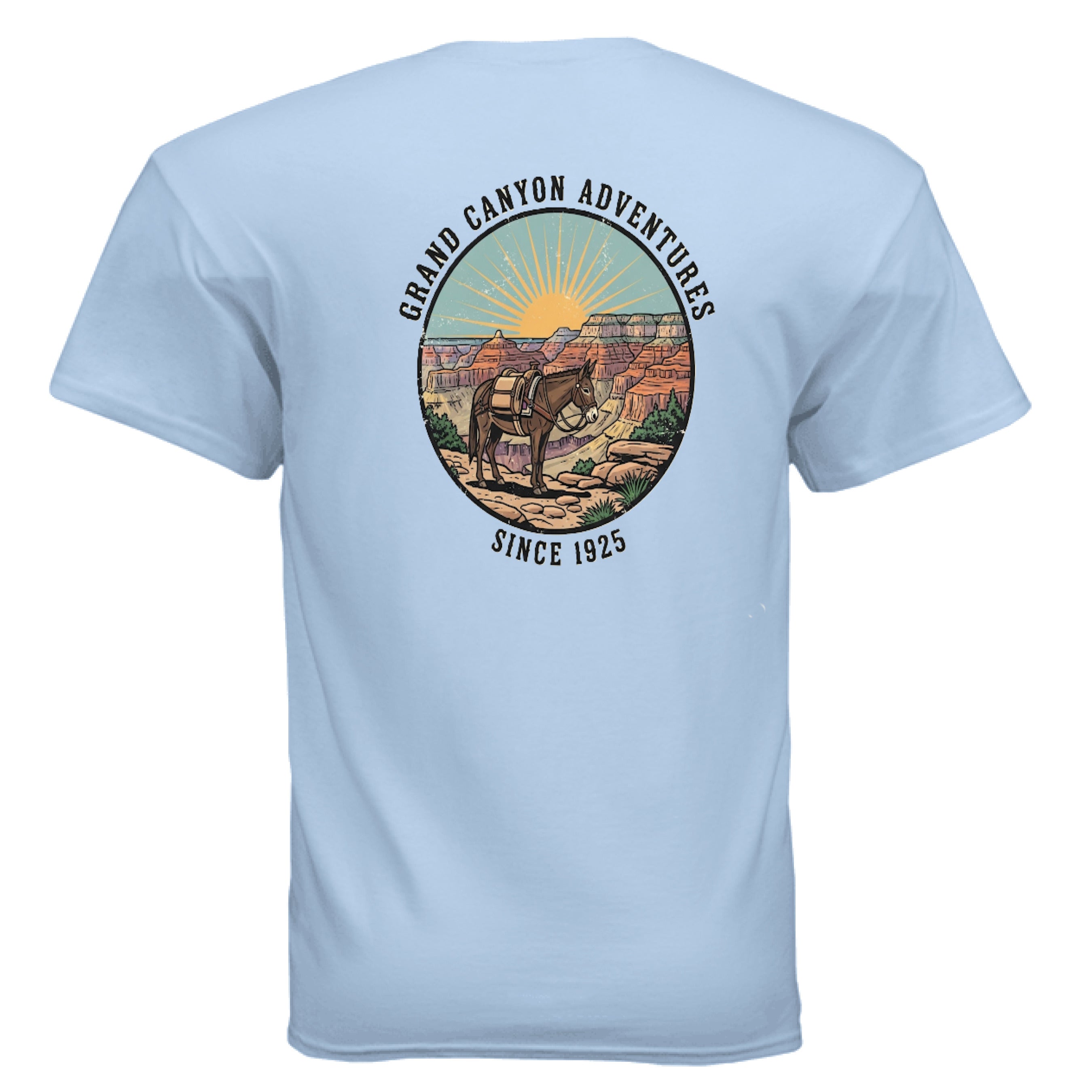LIGHT BLUE - BACK